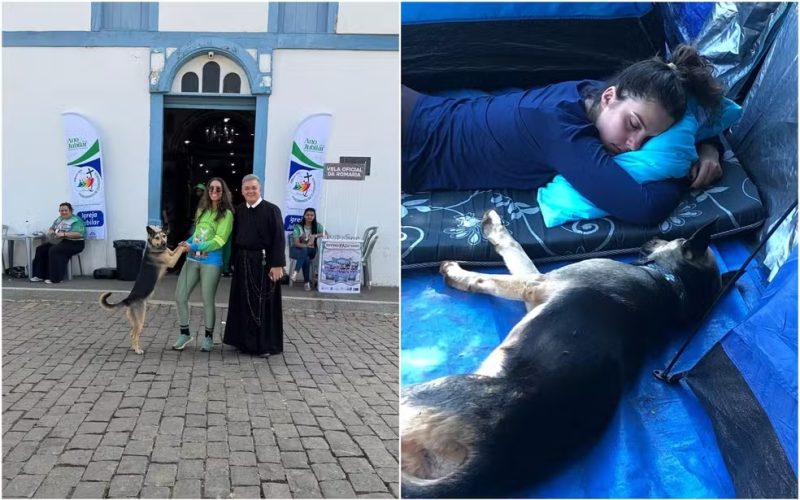 Cadela é adotada após seguir romeira por 150 km até a Festa do Divino Pai Eterno