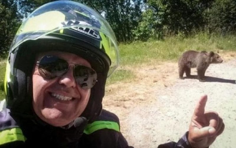 Italiano tira selfie com urso e morre após ataque