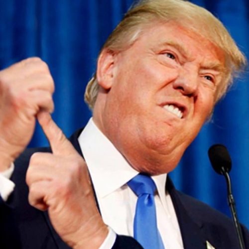 Trump impõe (foto) tarifas contra ilha povoada por pinguins e focas