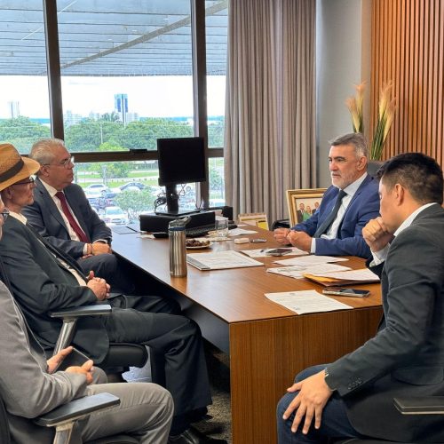 Amélio Cayres recebe presidente do TCE-TO para alinhamento institucional e novas ações conjuntas